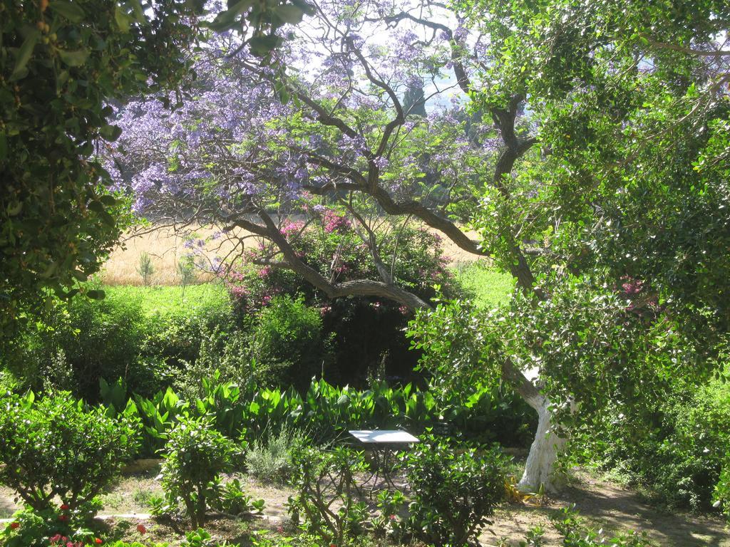 מלון אלינדה Archontiko Angelou מראה חיצוני תמונה